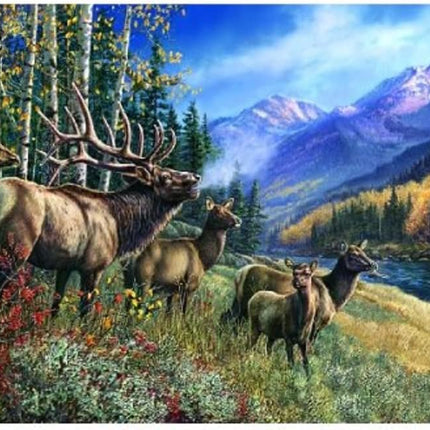 SunsOut 28448 Elk Anthem by James Meger, 1000-piece Jigsaw Puzzle