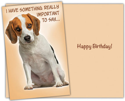 Birthday Card - Happy Birthday, I Have Something Really Important to Say