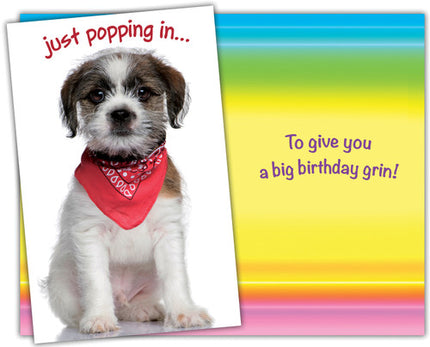 Birthday Card - Happy Birthday, Just Popping In