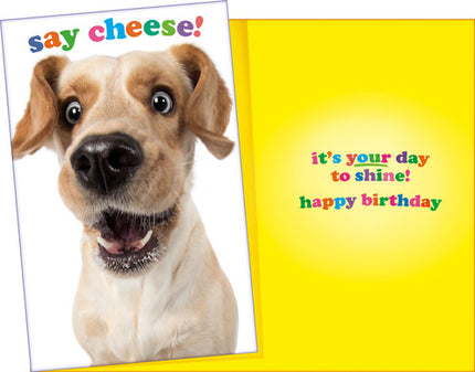 Birthday Card - Happy Birthday, Say Cheese!