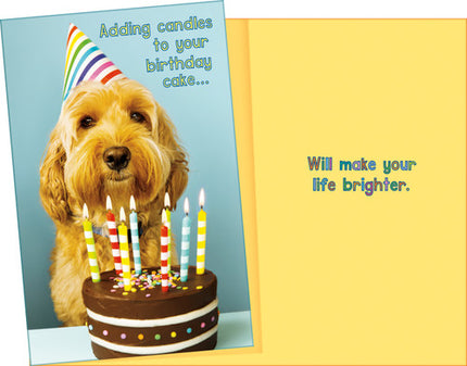 Birthday Card - Happy Birthday, Adding Candles to Your Birthday Cake...