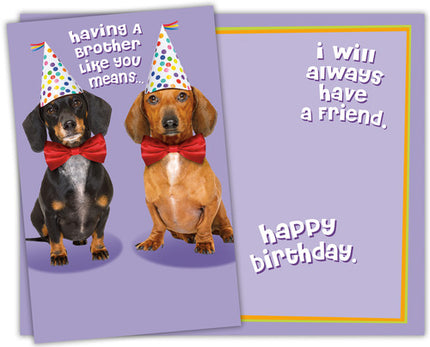 Birthday Card - to Brother, Having a Brother Like You