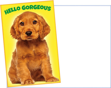 Friendship Greeting Card - Hello Gorgeous