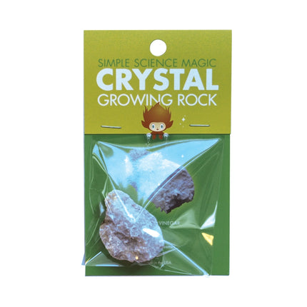 Copernicus Toys CC Growing Crystals